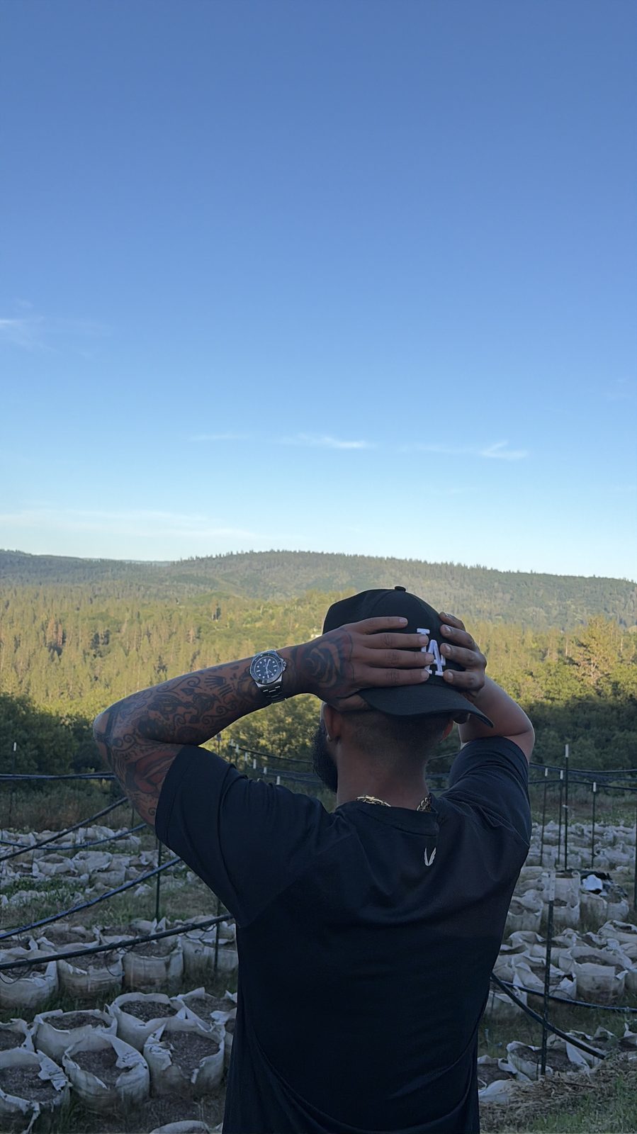 Founder view